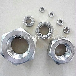 耐蚀合金ALLOY28(N08028/1.4563)螺母